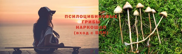 кокс Алексин