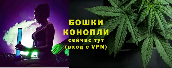 шишки Абдулино