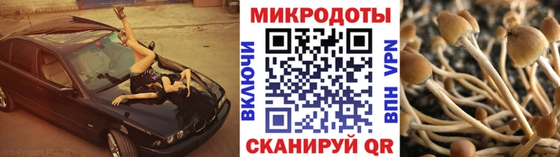 Галлюциногенные грибы Psilocybine cubensis  где купить наркоту  Астрахань 